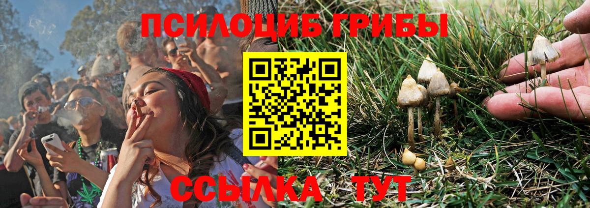 Галлюциногенные грибы мицелий Хасавюрт