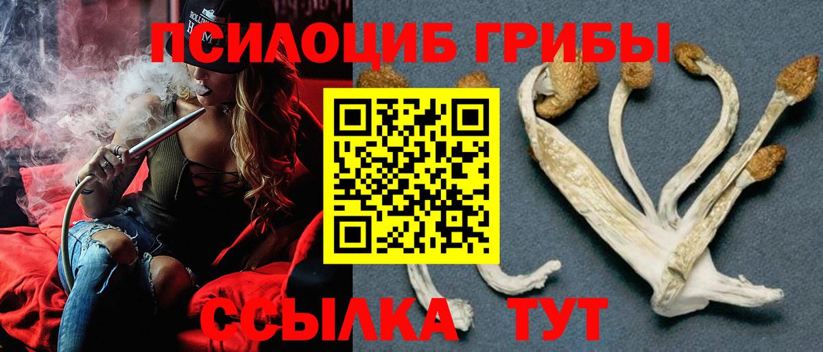 Хасавюрт  Галлюциногенные грибы Cubensis  Вход с VPN 